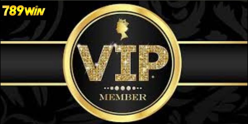 Tìm hiểu về hệ thống VIP 789win