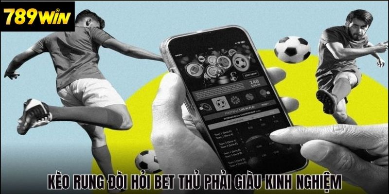Kinh nghiệm bắt kèo rung hiệu quả