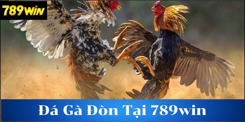 Tìm hiểu về loại hình đá gà đòn đầy hấp dẫn